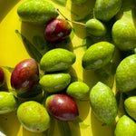 Load image into Gallery viewer, Terre di San Vito Extra Virgin Olive Oil in Hand-Painted Terracotta
