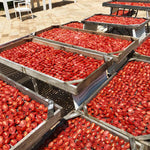 Load image into Gallery viewer, Terre di San Vito Pomodori Sott&#39;Olio
